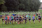 Mens Under-18s, 2026 NEHL, Thornley Hall Farm, Peterlee, County Durham. Photo: David T. Hewitson/Sports for All Pics